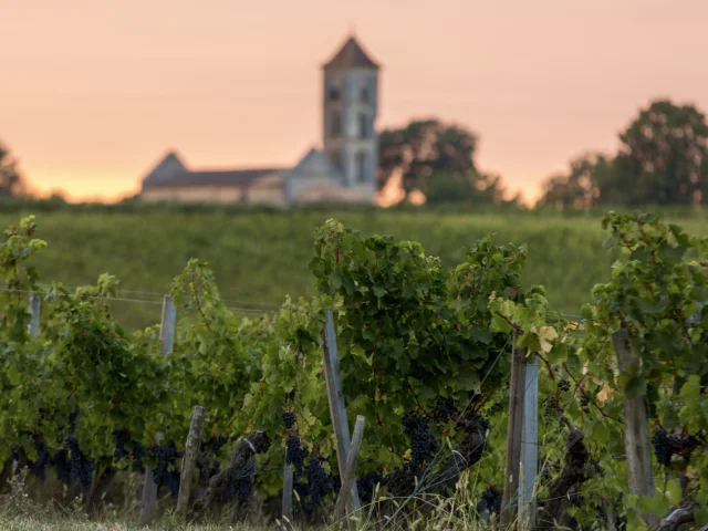 Weinberge