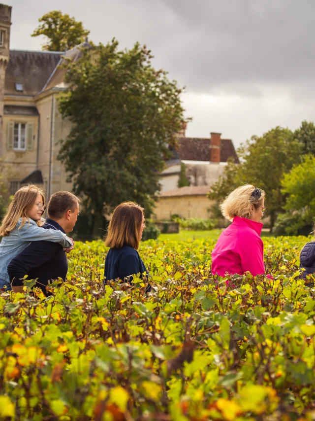 Margaux Médoc Tourism by David Herbreteau