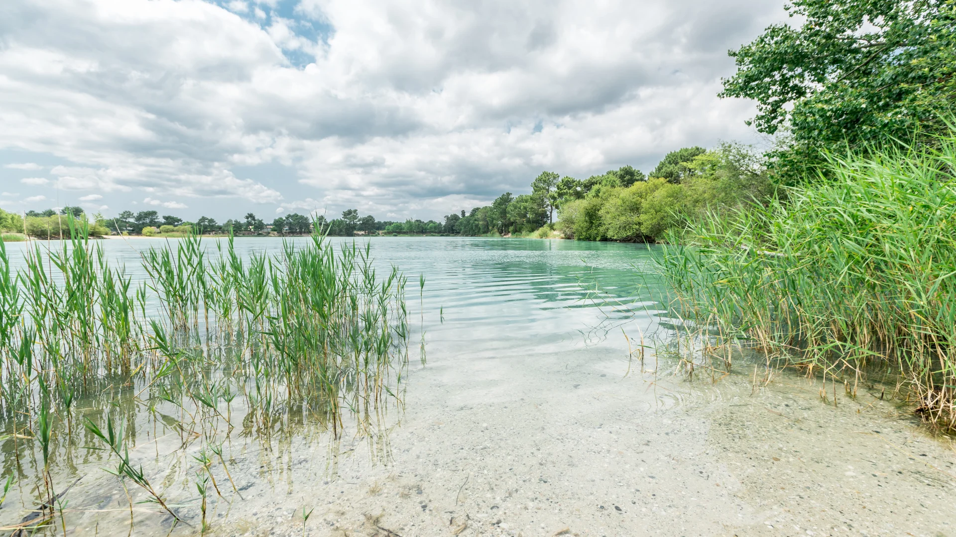 The marshes of Ludon-Médoc