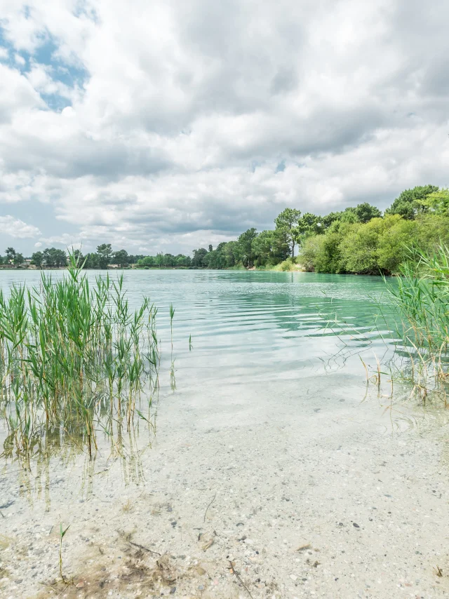The marshes of Ludon-Médoc