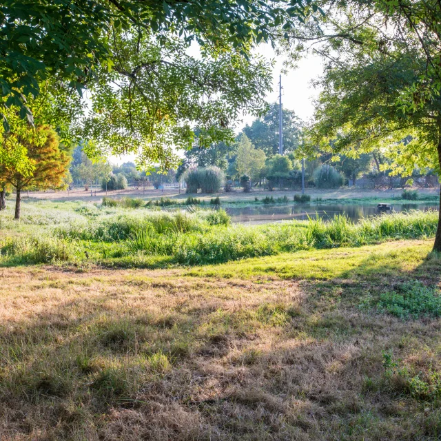 Natural landscapes of the Médoc