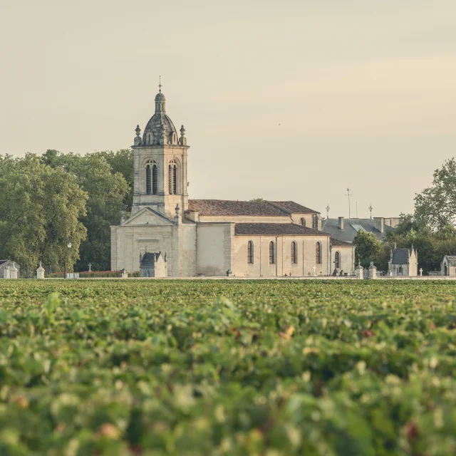 Die Nuggets von Margaux Médoc Tourisme
