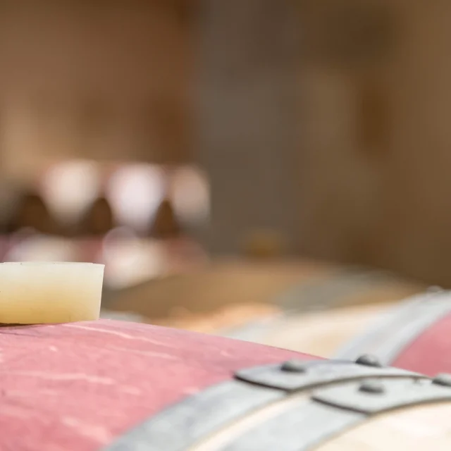 Médoc wines at Château Kirwan
