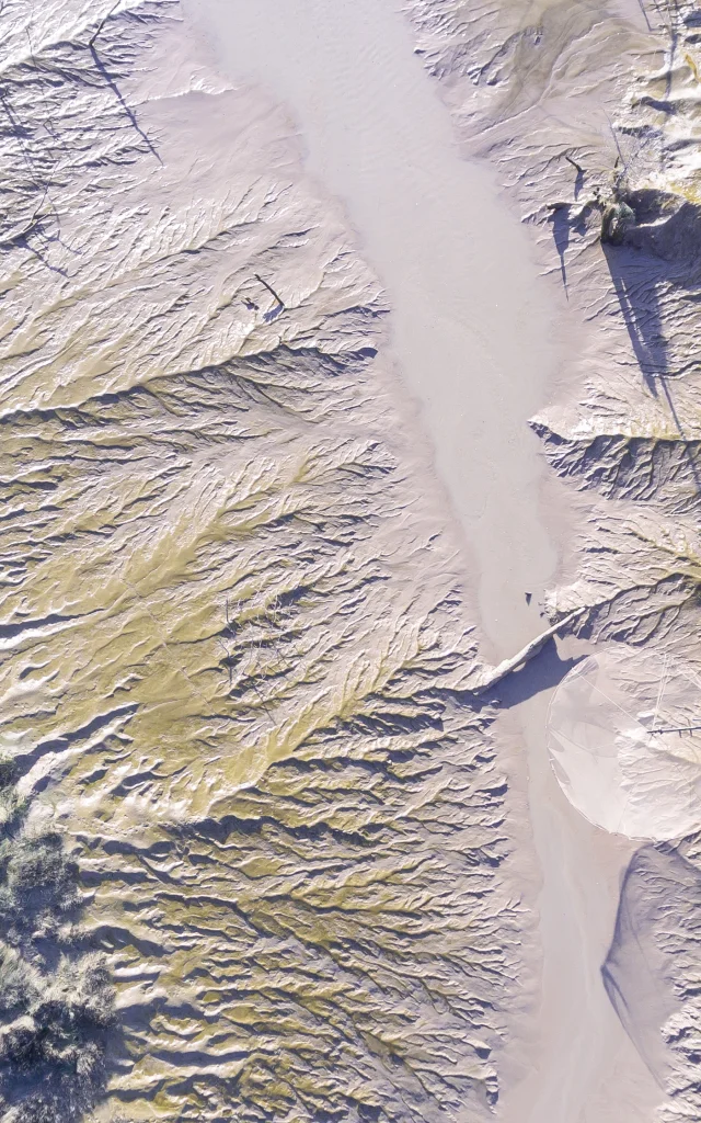 Drone view of the estuary