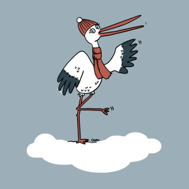Cigogne 4