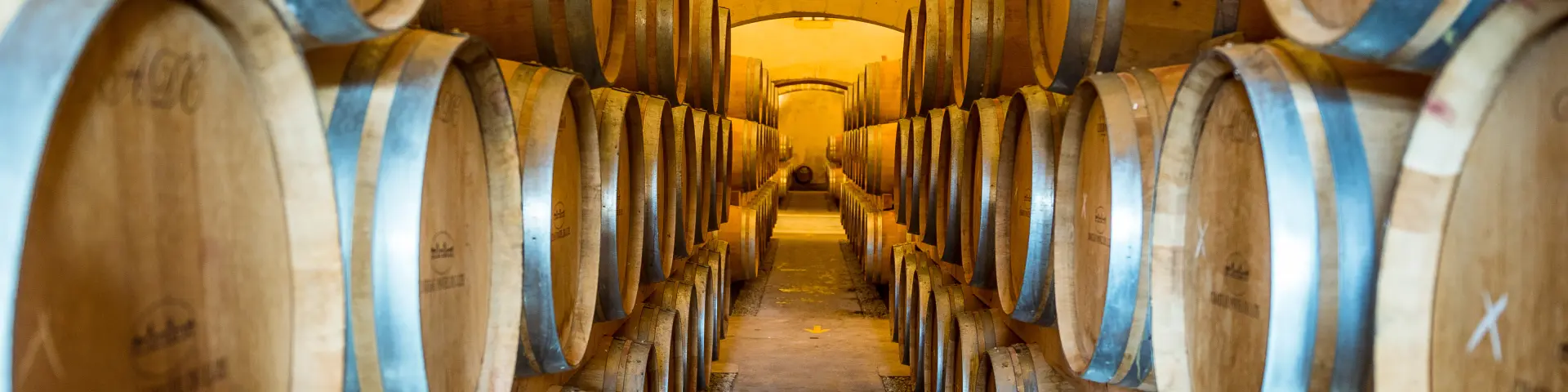 Margaux Medoc Tourismedavid Herbreteau 00412
